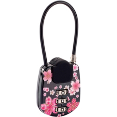 shining padlock 密碼鎖